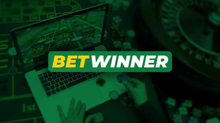 Comprehensive Review of BetWinner Casino Your Guide to Online Gaming
