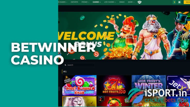 Comprehensive Review of BetWinner Casino Your Guide to Online Gaming